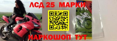 стаф Шелехов