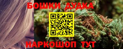 стаф Шелехов