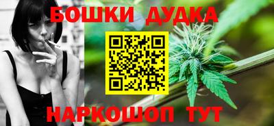 стаф Шелехов