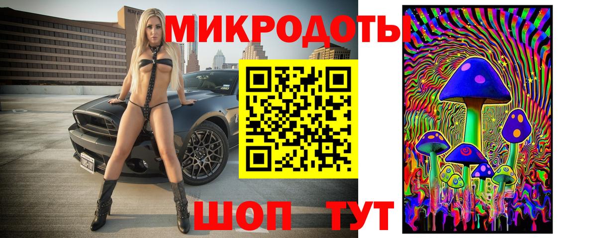 Владимир  Псилоцибиновые грибы прущие грибы  Вход с VPN 
