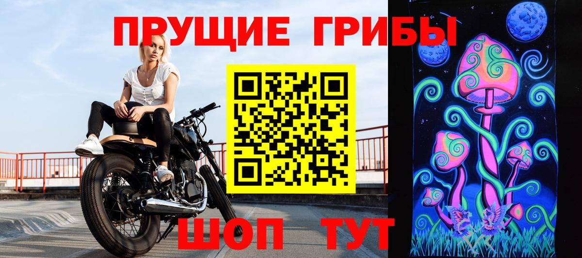 Псилоцибиновые грибы ЛСД Владимир
