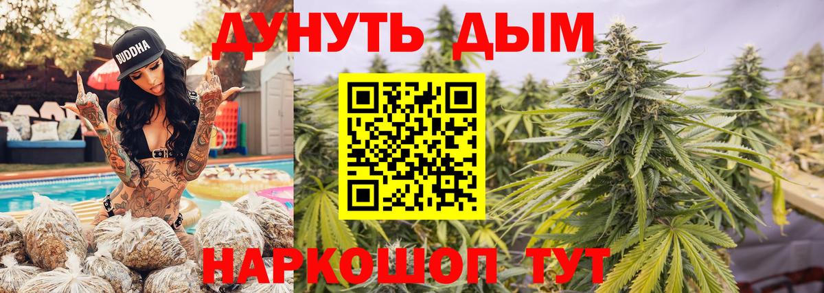 Бошки марихуана гибрид Владимир